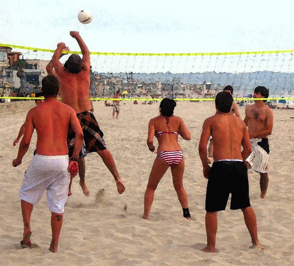 Rede de vôlei
