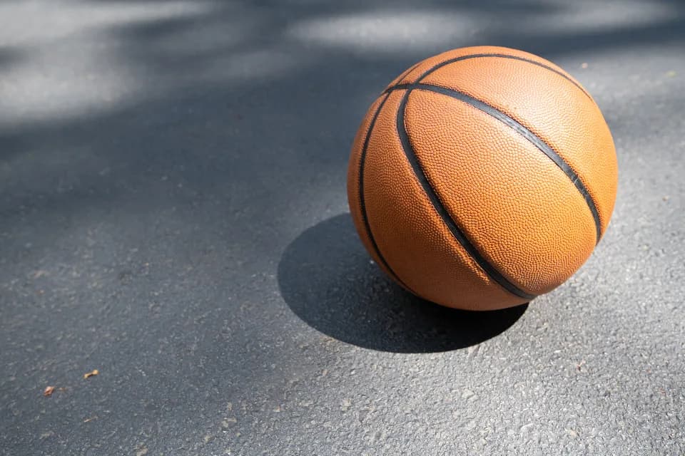 Bola de basquete